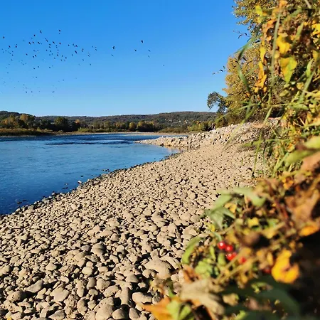 Iva Banja Koviljača