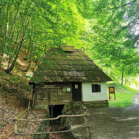 Iva Banja Koviljača