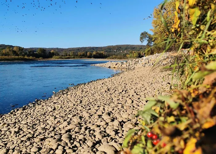 Iva Banja Koviljača