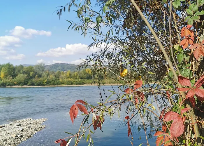 Iva * Banja Koviljača